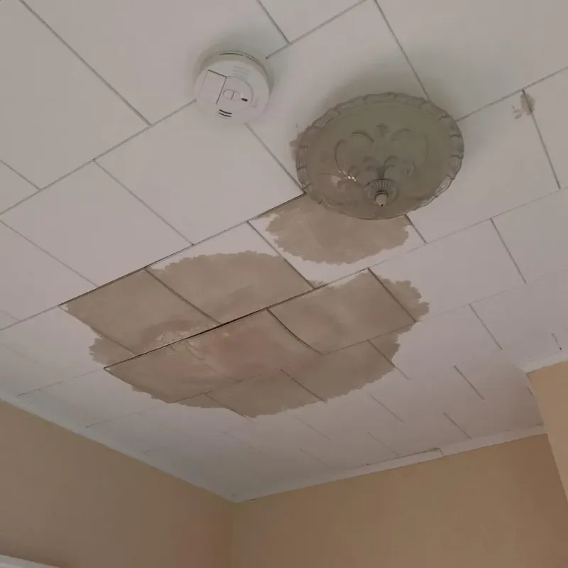 Ceiling Water Damage Repair in Union County, TN