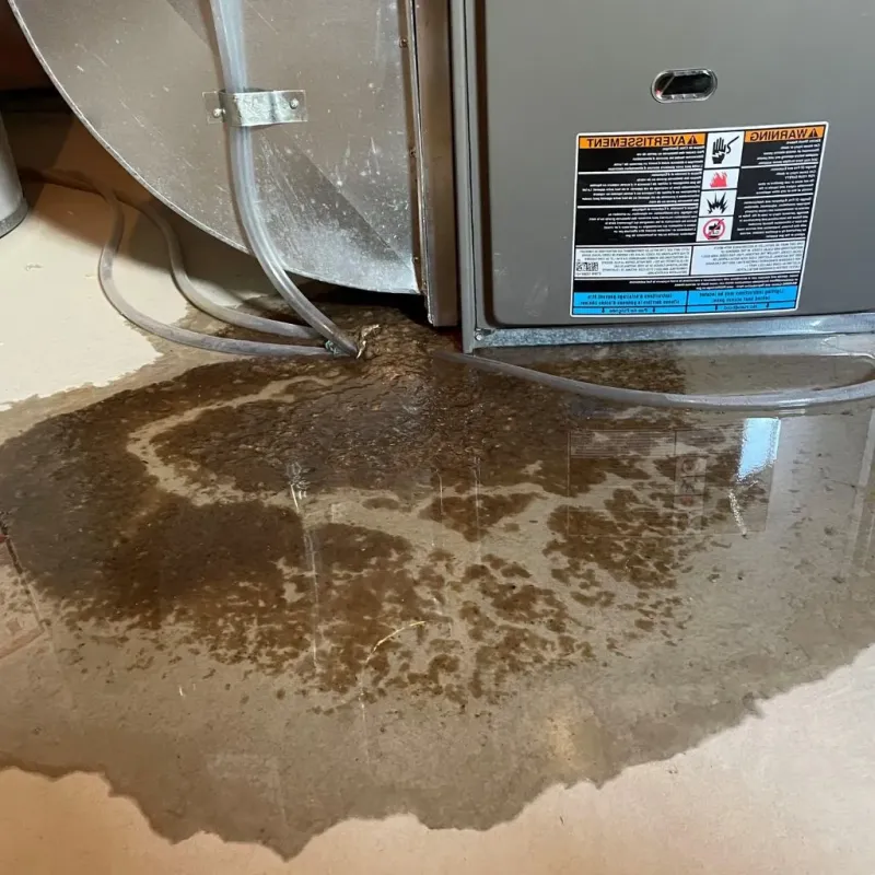 Pipe Burst and Leak Restoration in Union County, TN